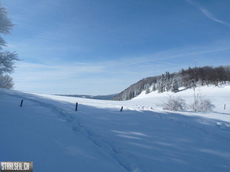 k-P1030646.JPG