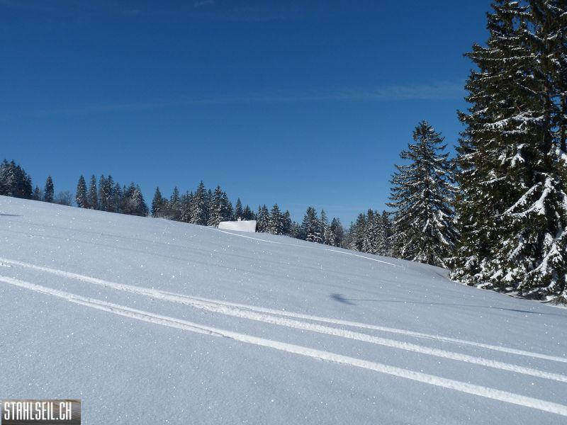 k-P1040196.JPG