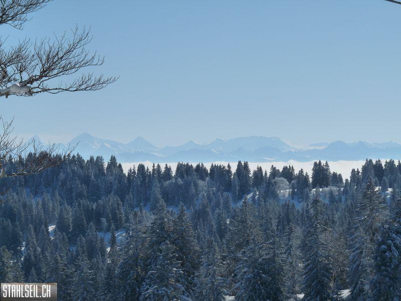 k-P1040212.JPG