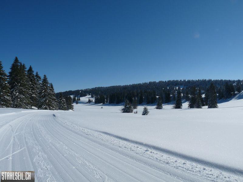 k-P1040231.JPG