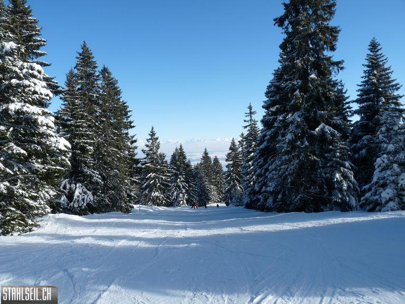 k-P1040523.JPG