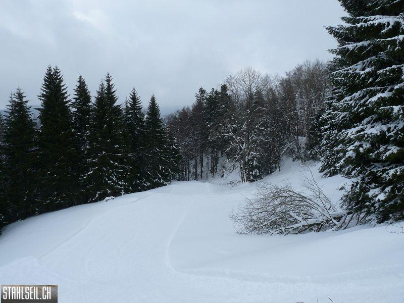 k-P1040812.JPG