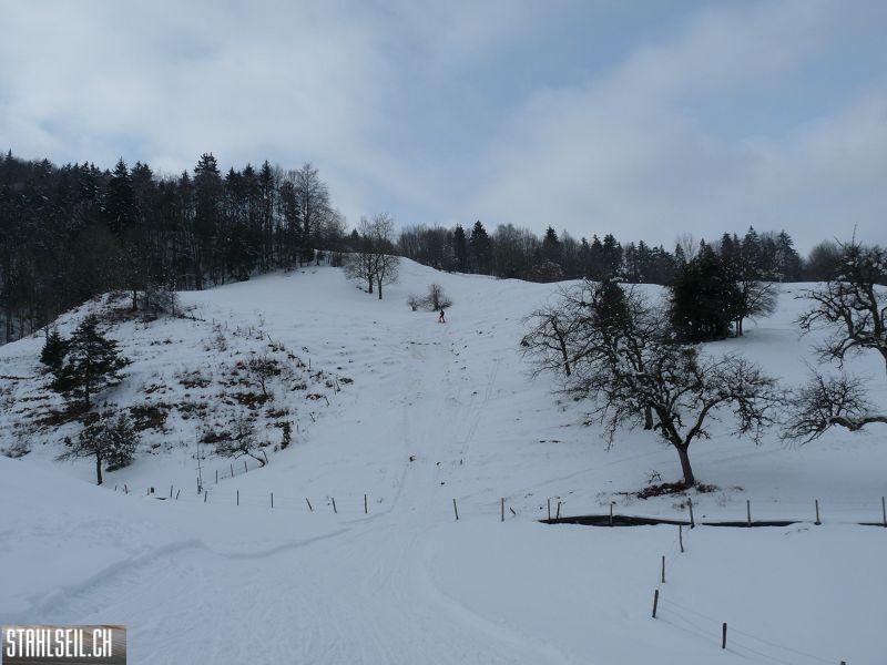 k-P1040815.JPG