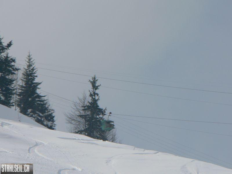 k-P1290500.JPG