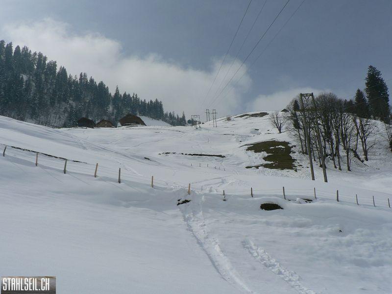 k-P1290508.JPG