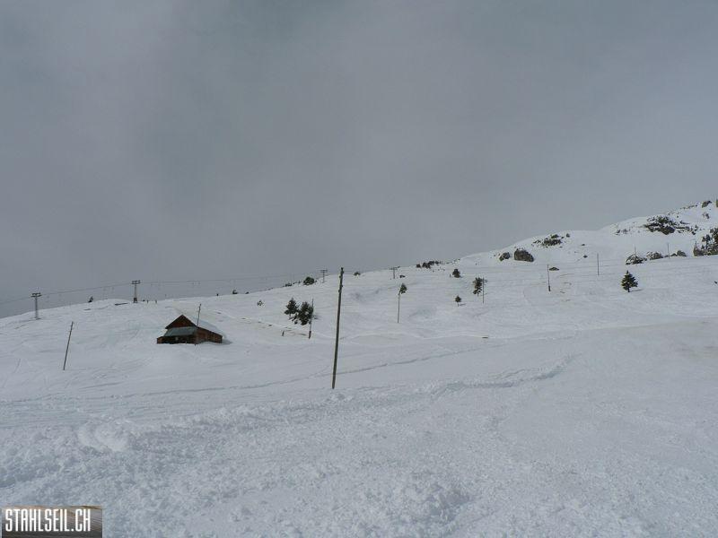 k-P1290637.JPG