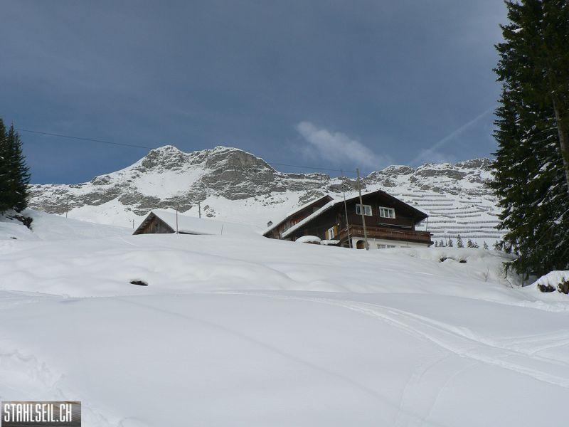 k-P1290697.JPG