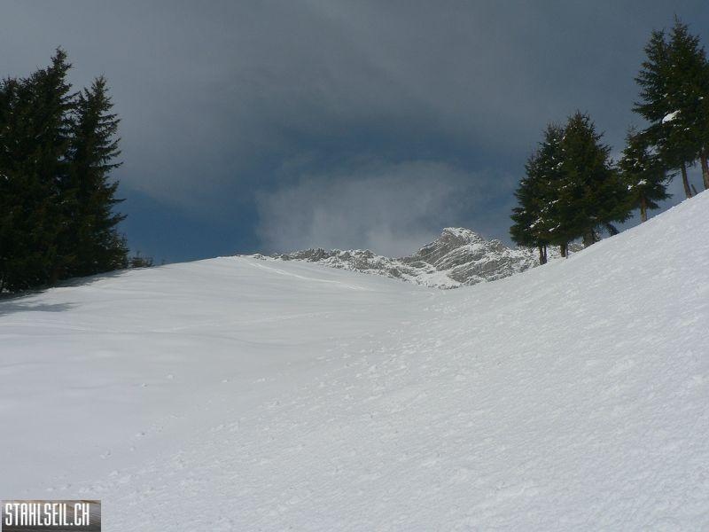 k-P1290726.JPG