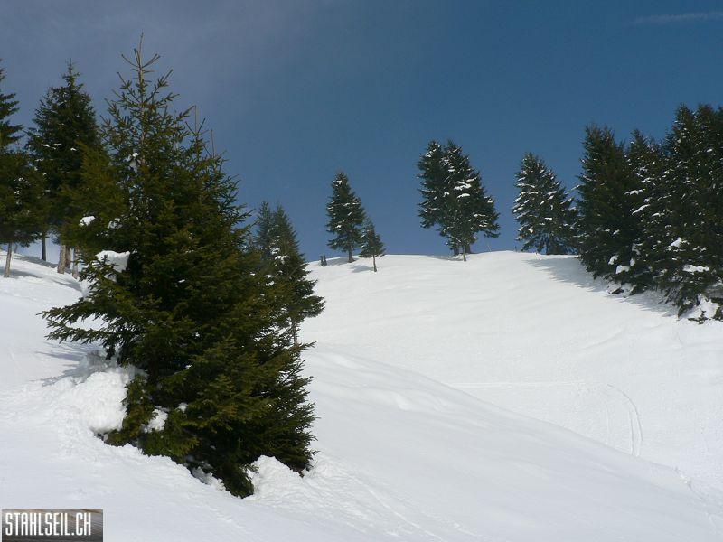 k-P1290728.JPG