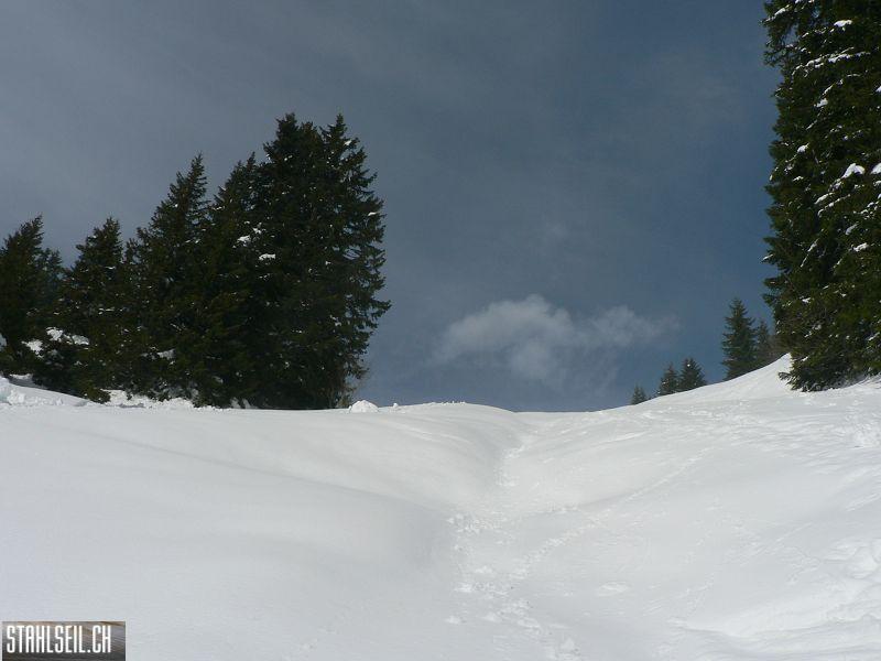 k-P1290734.JPG