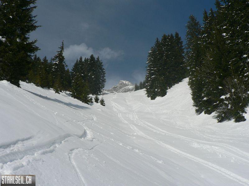 k-P1290736.JPG