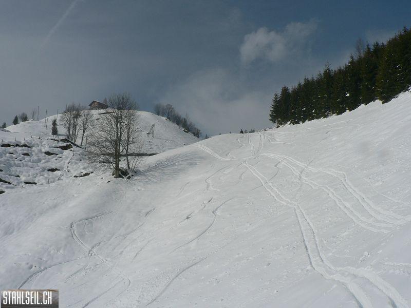 k-P1290747.JPG