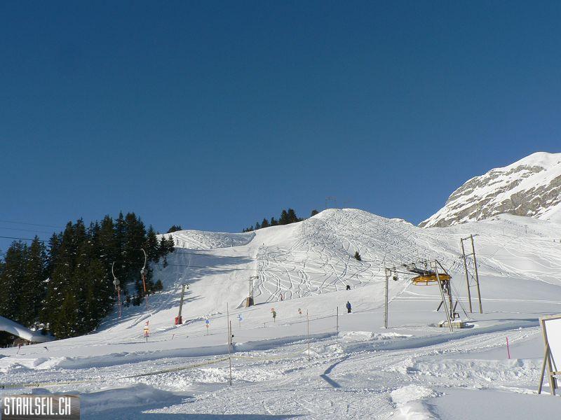 k-P1490943.JPG