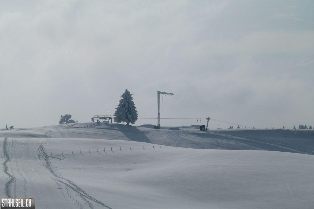 k-P1270918.JPG