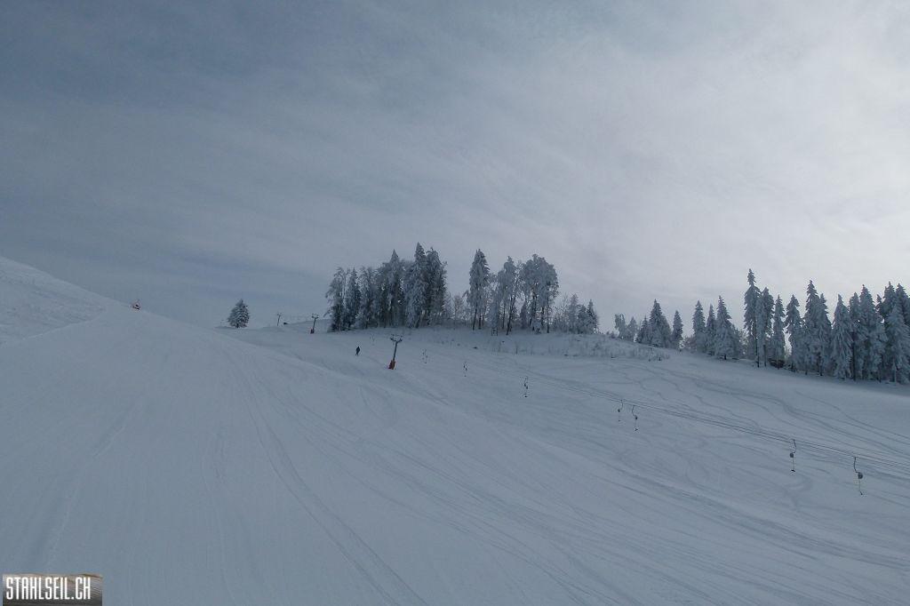 k-P1270979.JPG
