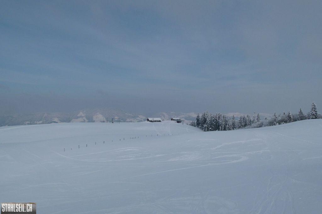 k-P1270988.JPG