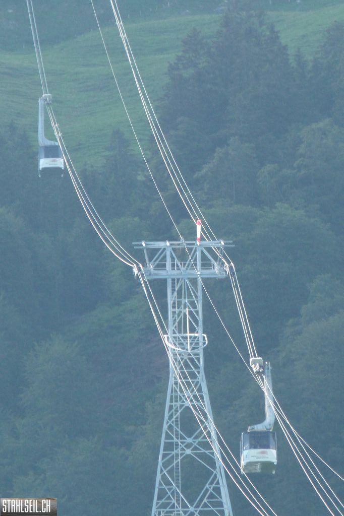 k-P1120351.JPG