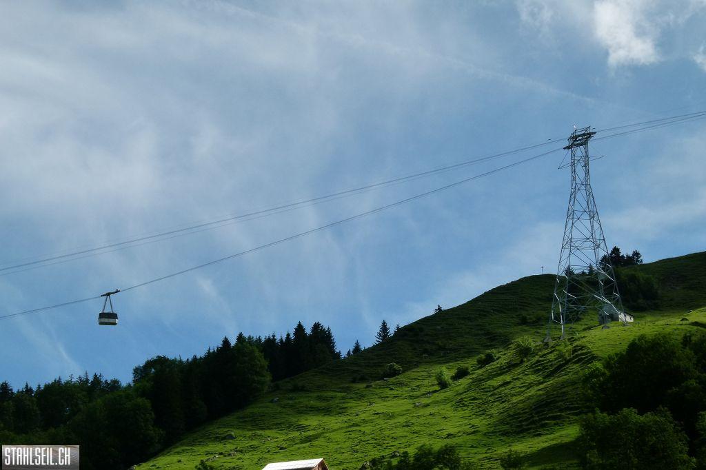 k-P1120609.JPG