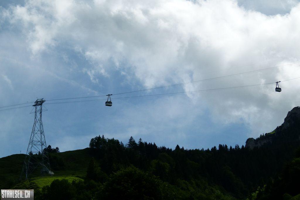 k-P1120618.JPG