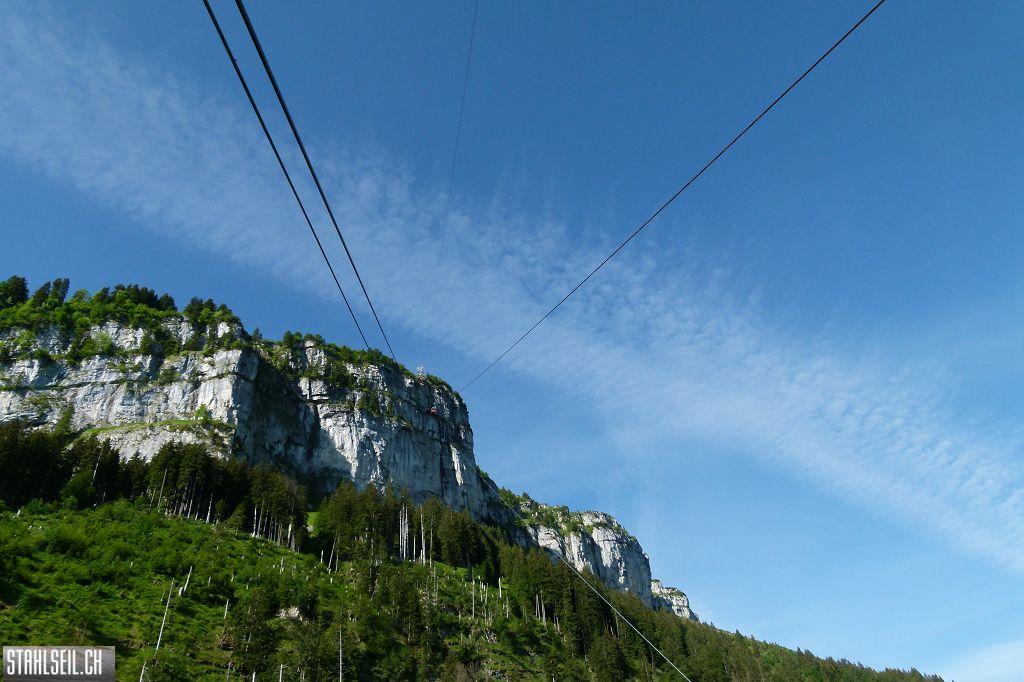 k-P1120397.JPG