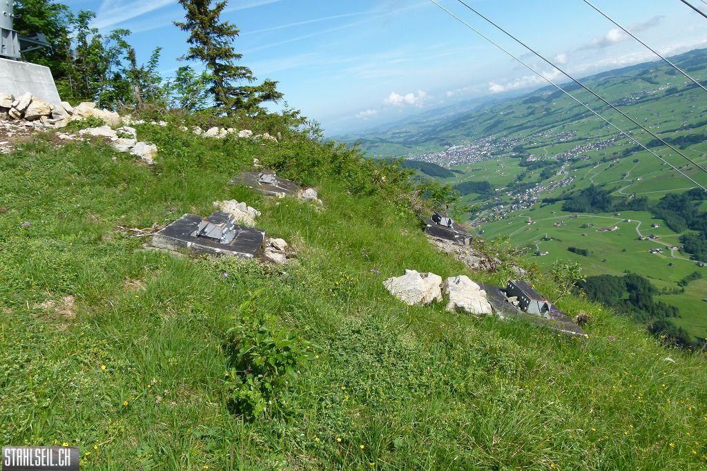 k-P1120496.JPG