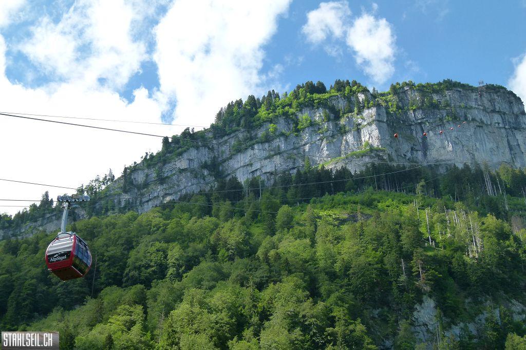 k-P1120597.JPG