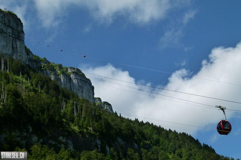 k-P1120603.JPG