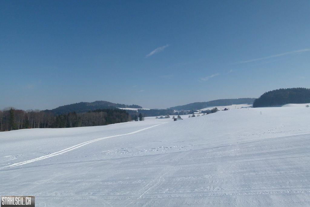 k-P1290440.JPG