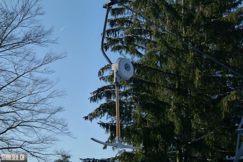 k-P1290529.JPG