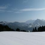 k-P1310576.JPG