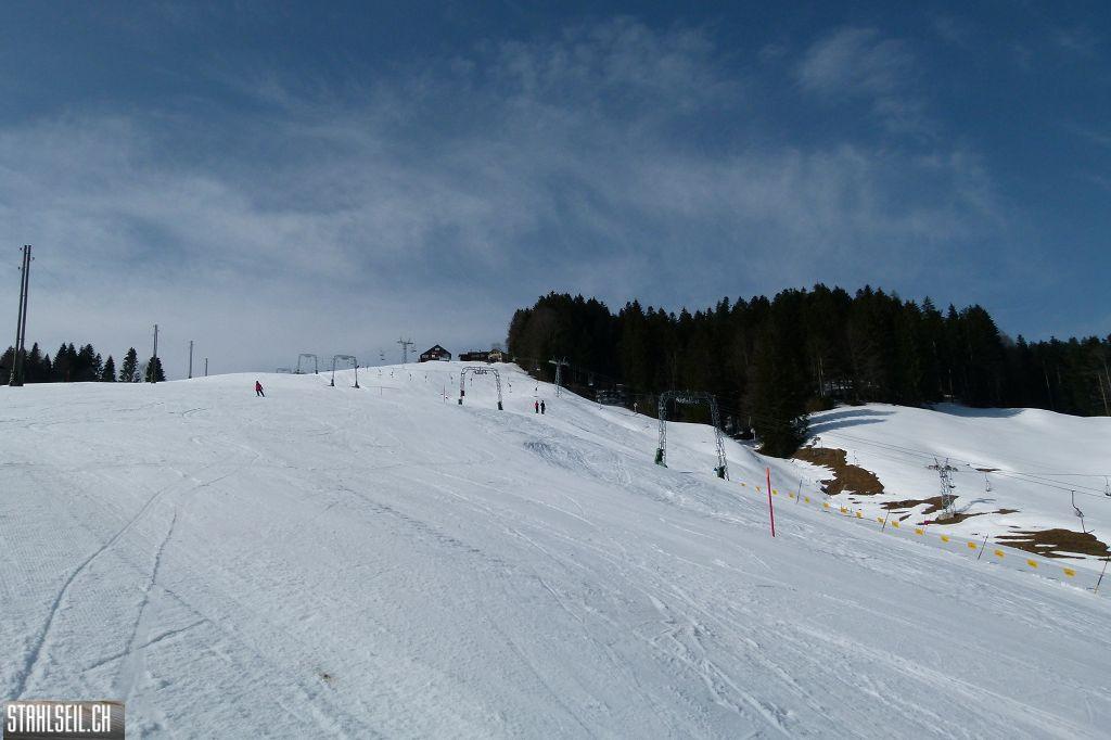 k-P1310627.JPG