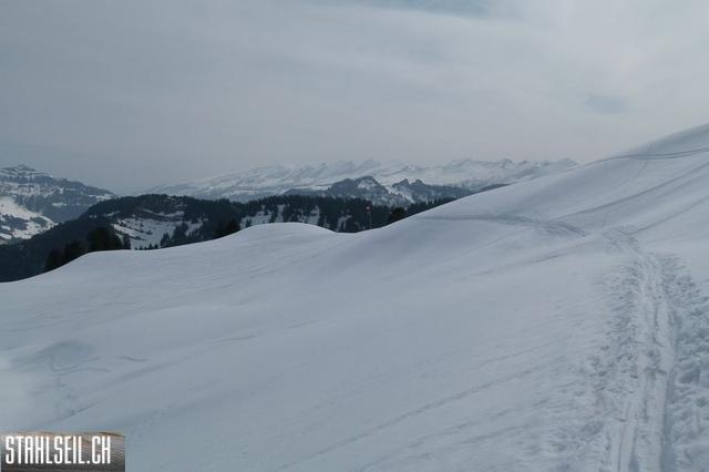 k-P1310682.JPG