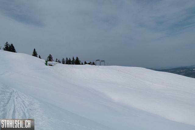 k-P1310685.JPG