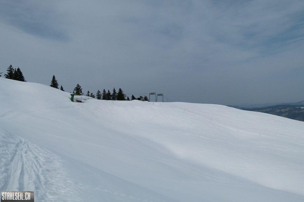 k-P1310685.JPG