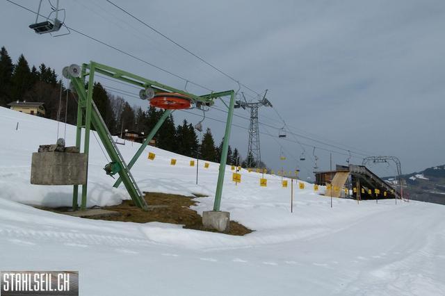 k-P1310694.JPG