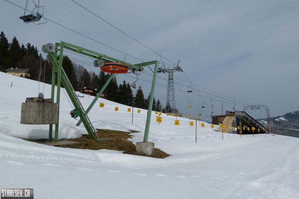 k-P1310694.JPG