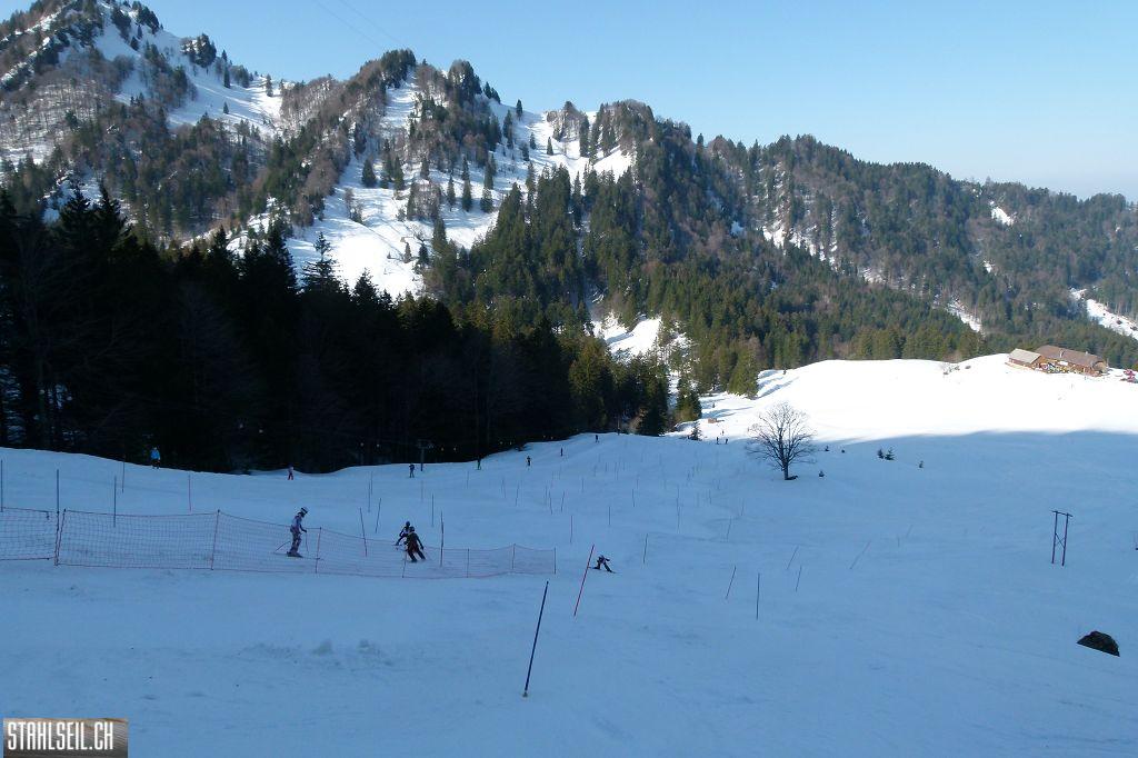 k-P1310733.JPG