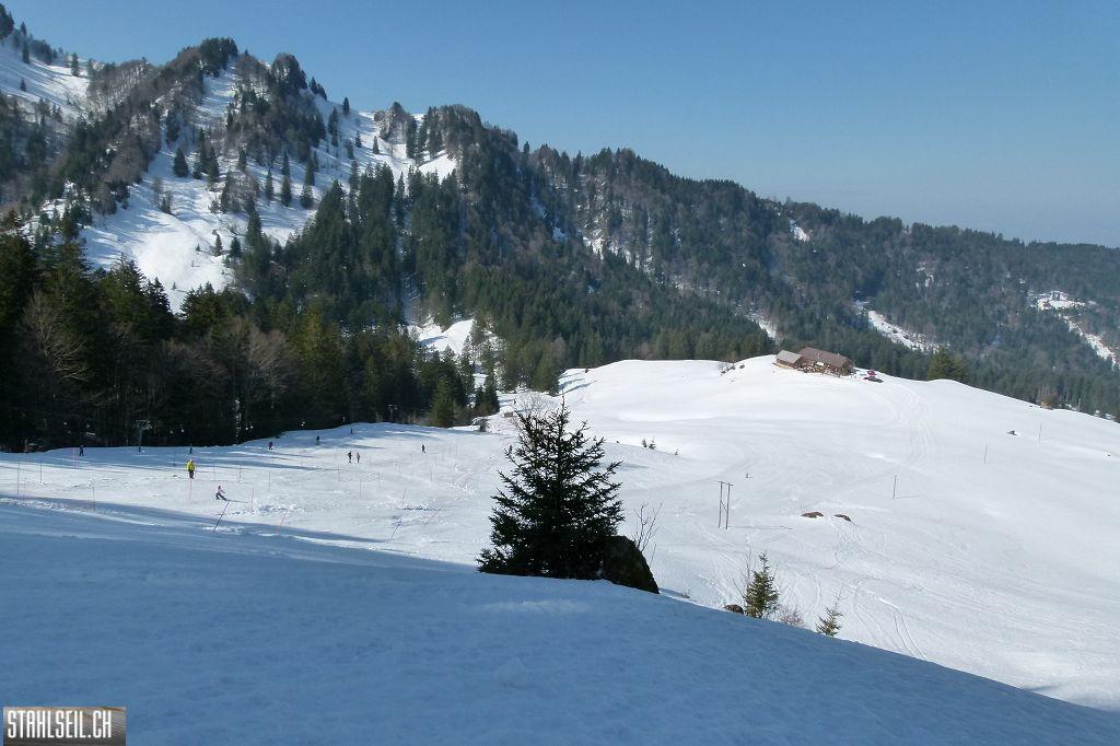 k-P1310788.JPG