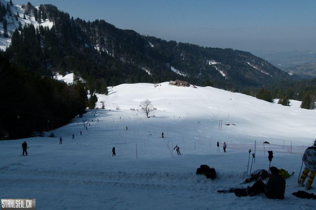 k-P1310798.JPG
