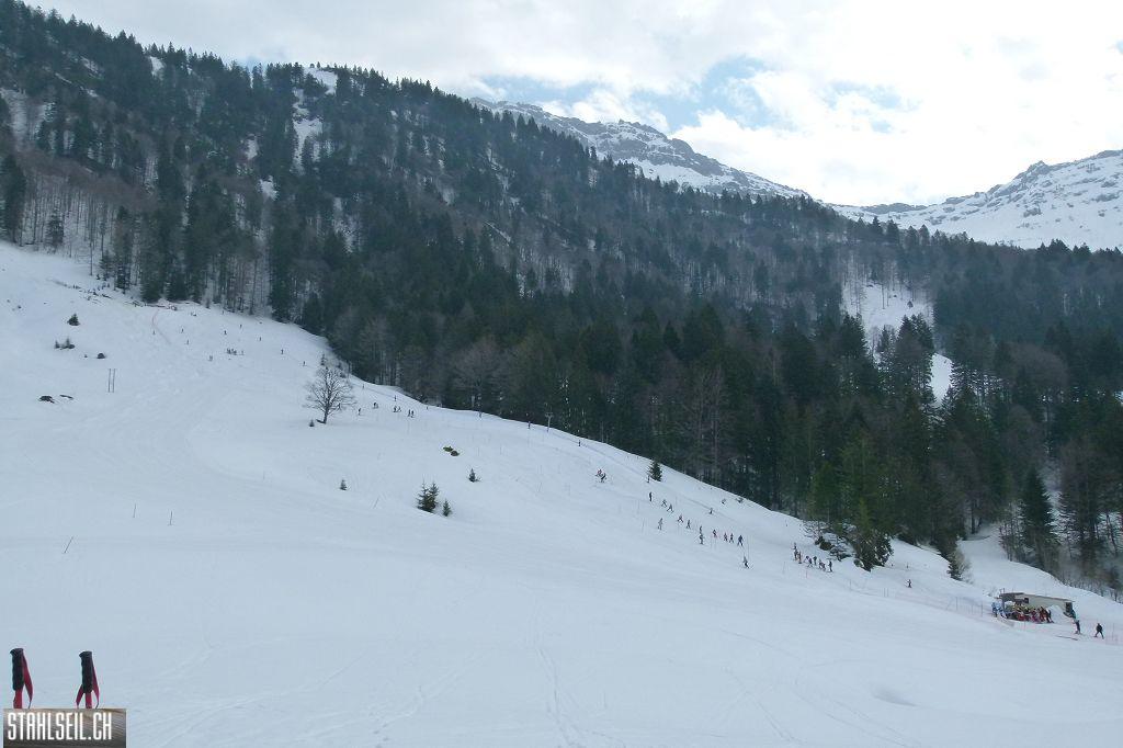 k-P1310829.JPG
