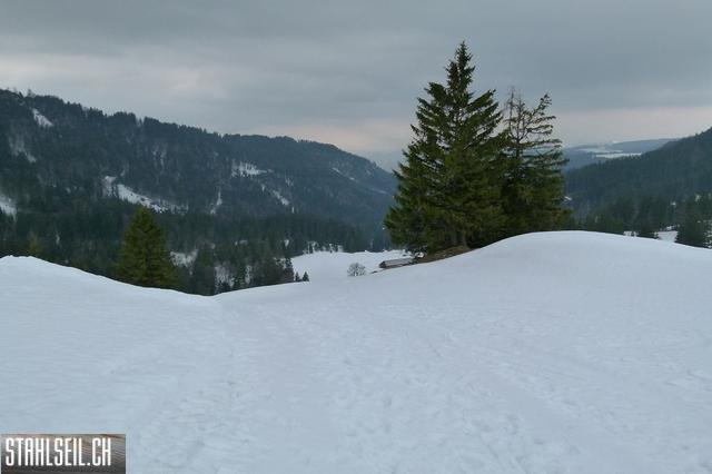 k-P1310835.JPG