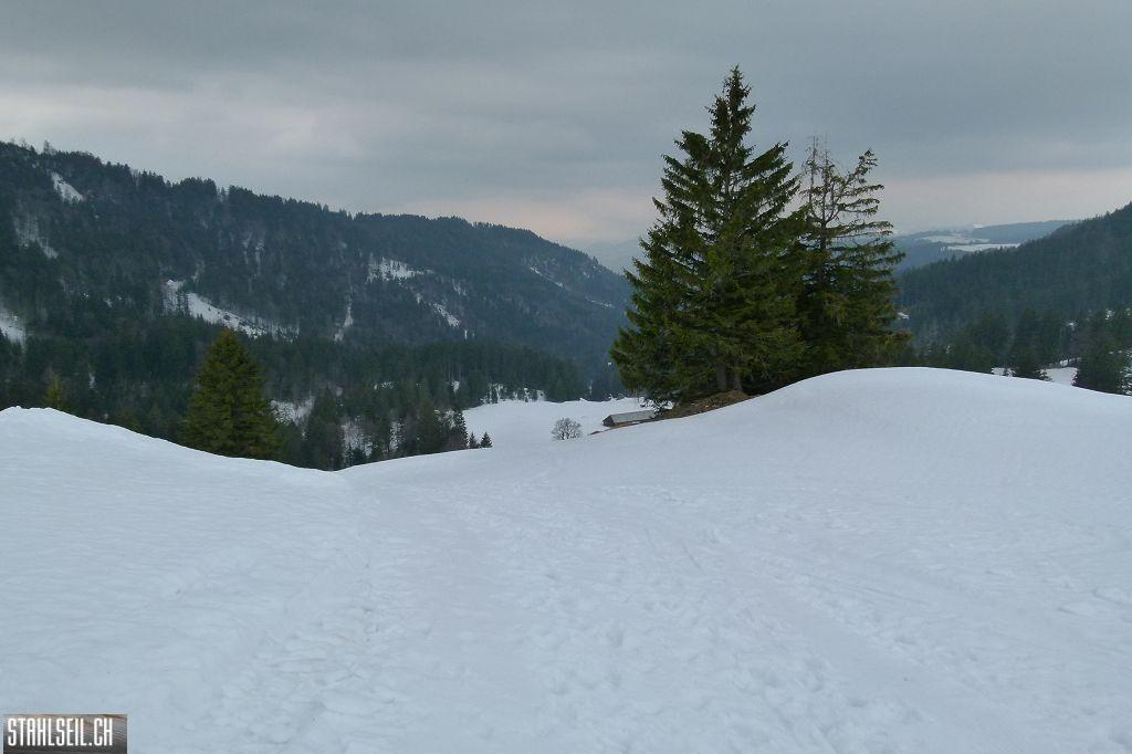 k-P1310835.JPG
