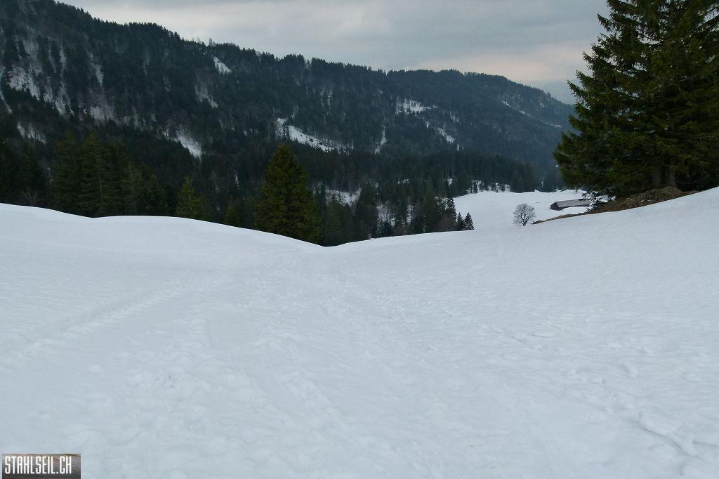 k-P1310836.JPG