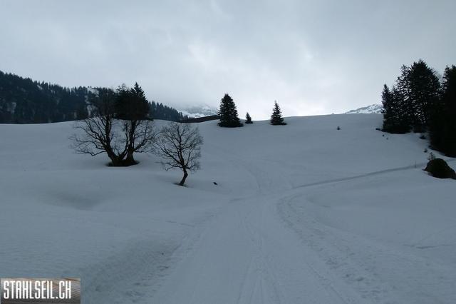 k-P1310839.JPG