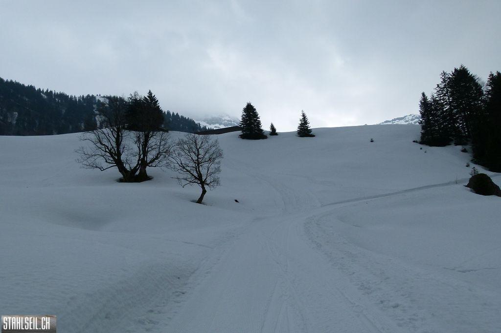 k-P1310839.JPG