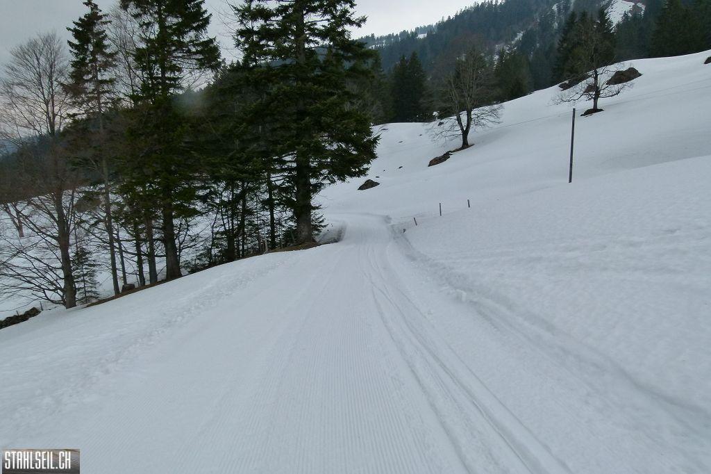 k-P1310840.JPG