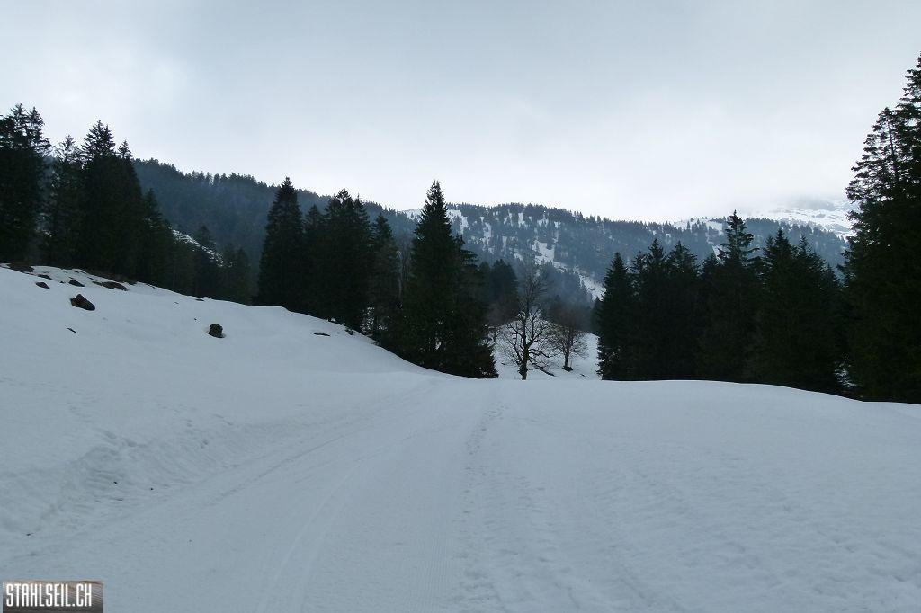 k-P1310842.JPG