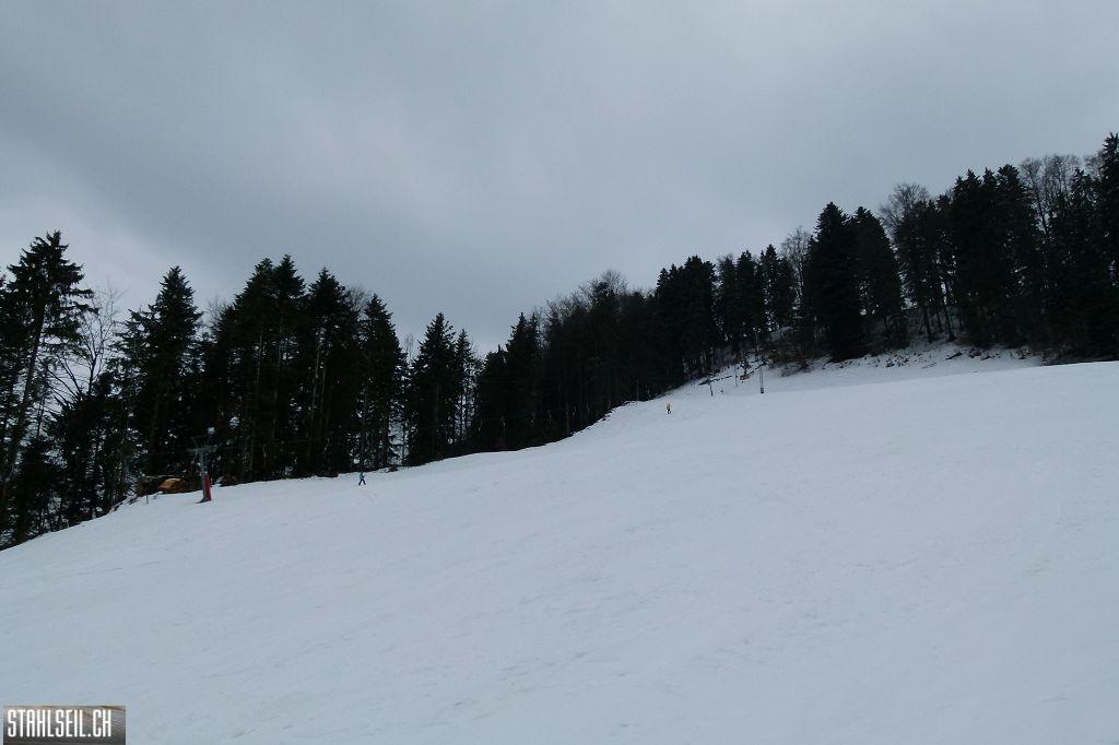 k-P1300342.JPG