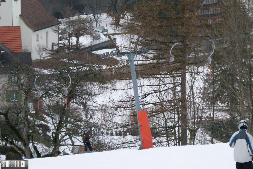k-P1300343.JPG