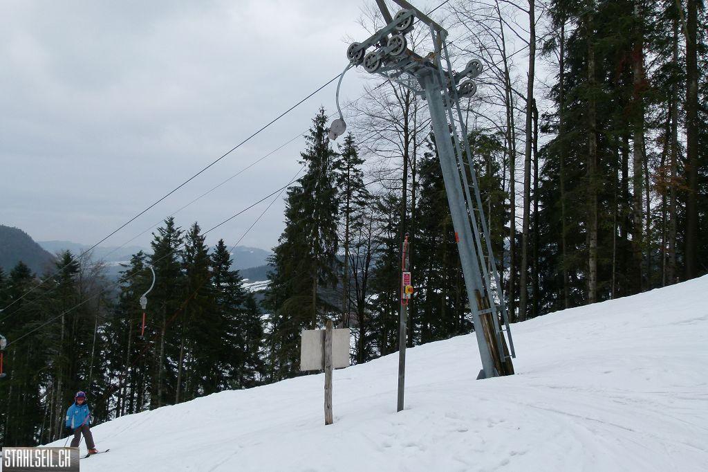 k-P1300325.JPG